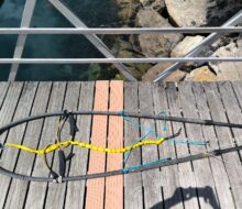 IMG_20250525_134537